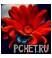Красный Красный