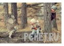 Удивление, крыло, сова, лес, лестница, осень Удивление, крыло, сова, лес, лестница, осень