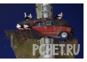 Автомобиль, гнездо, красная, аист, необычное, колесо Автомобиль, гнездо, красная, аист, необычное, колесо