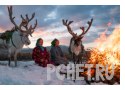 Хворост, рога, холод, север, костер, олень Хворост, рога, холод, север, костер, олень