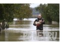Мокрый, собака, наводнение, доброта, поводок, мужчина, вода, дерево, спасатель Мокрый, собака, наводнение, доброта, поводок, мужчина, вода, дерево, спасатель