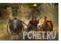 Эмоции, азия, хвост, брызги, традиция, гонки, грязь, бык, вода Эмоции, азия, хвост, брызги, традиция, гонки, грязь, бык, вода