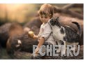 Кора, детство, мальчик, яблоко, приятели, нежность, кошка, бревно Кора, детство, мальчик, яблоко, приятели, нежность, кошка, бревно