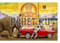 Слон, мужчина, рисунок, автомобиль, сломанный, знак, дорога, стена, индия Слон, мужчина, рисунок, автомобиль, сломанный, знак, дорога, стена, индия