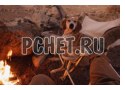 Пикник, стул, собака, отдых, камень, нога, костер, порода Пикник, стул, собака, отдых, камень, нога, костер, порода