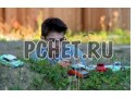 Ретро, модель, мальчик, трава, коллекция, автомобиль, очки, хобби, планшет Ретро, модель, мальчик, трава, коллекция, автомобиль, очки, хобби, планшет
