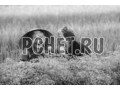 Смех, отношения, азия, пара, веселый, шляпа, возраст, поле, борода Смех, отношения, азия, пара, веселый, шляпа, возраст, поле, борода