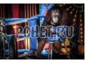 Неволя, зоопарк, перчатки, канат, грустный, обезьяна, артист, стул, боксер Неволя, зоопарк, перчатки, канат, грустный, обезьяна, артист, стул, боксер