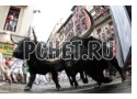 Люди, зрелище, опасно, традиция, испания, рога, улица Люди, зрелище, опасно, традиция, испания, рога, улица