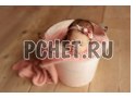 Венок, деревянный, ведро, девочка, маленькая, сон, розовый Венок, деревянный, ведро, девочка, маленькая, сон, розовый