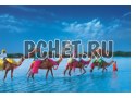 Индия, караван, верблюд, известный, вода, история, архитектура, облака Индия, караван, верблюд, известный, вода, история, архитектура, облака
