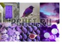 Фиолетовый, инжир, птица, шарик, небо, коллаж, ветка, цветы, дверь Фиолетовый, инжир, птица, шарик, небо, коллаж, ветка, цветы, дверь