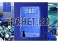 Попугай, океан, кошка, горшок, проход, ракушка, синий, окно Попугай, океан, кошка, горшок, проход, ракушка, синий, окно