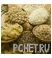 Злаки Злаки