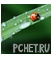 Роса
