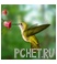 Колибри Колибри
