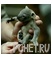Детеныш Детеныш