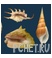 Моллюски Моллюски