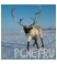 Рога, север Рога, север