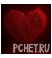 Сердце Сердце