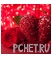 Сердце Сердце