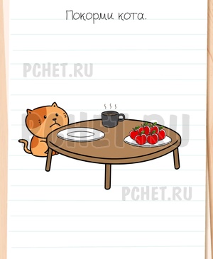 Brain Test All-Star - Покорми кота.