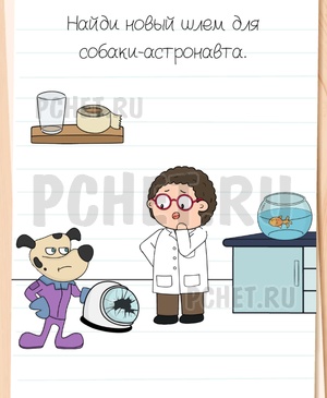 Brain Test All-Star - Найди новый шлем для собаки-астронавта.