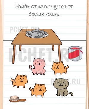 Brain Test All-Star - Найди отличающуюся от других кошку.