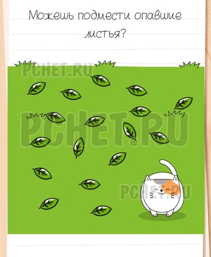 Brain Test All-Star - Можешь подмести опавшие листья?