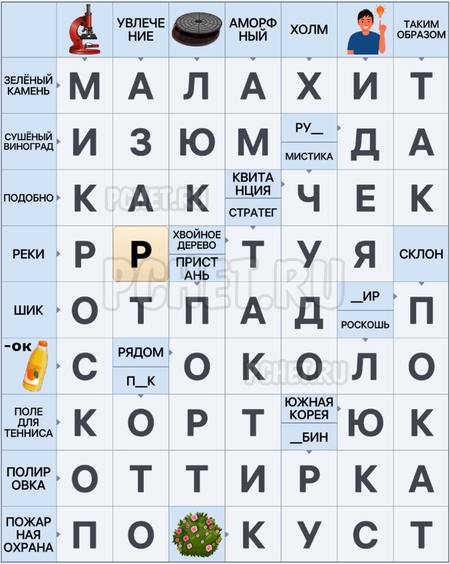 Сканворд 13