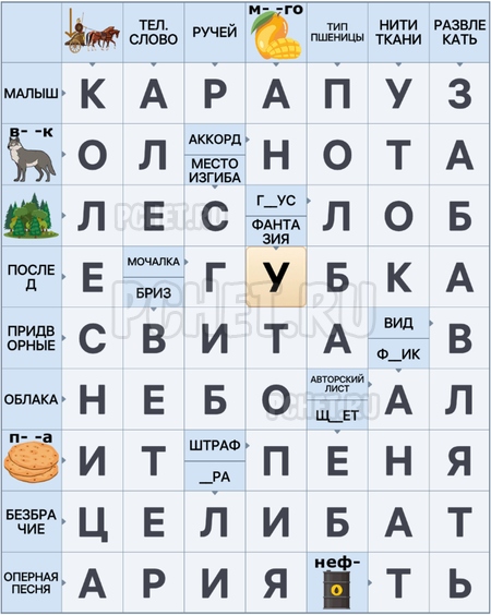 Сканворд 14