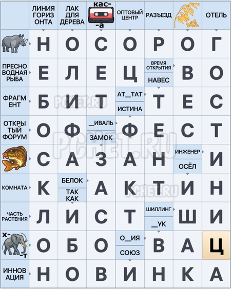 Сканворд 7