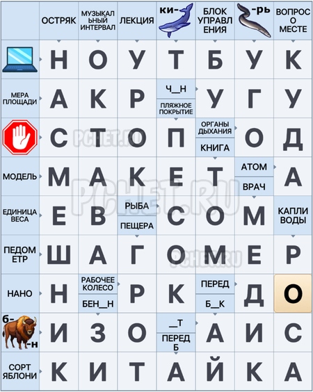 Сканворд 9