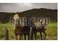 Ответы на игру Кроссворд для мамы Ответы на игру Кроссворд для мамы