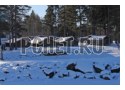 Ответы на игру Кроссворд для мамы Ответы на игру Кроссворд для мамы