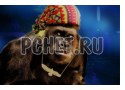 Ответы на игру Кроссворд для мамы Ответы на игру Кроссворд для мамы