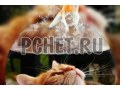 Ответы на игру Кроссворд для мамы Ответы на игру Кроссворд для мамы