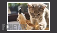 Ответы на игру Я люблю кроссворды 3 Ответы на игру Я люблю кроссворды 3
