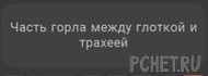 Ответы на игру Я люблю кроссворды 3 Ответы на игру Я люблю кроссворды 3