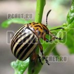 Ответы на игру Мы из СССР Ответы на игру Мы из СССР