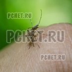 Ответы на игру Мы из СССР Ответы на игру Мы из СССР