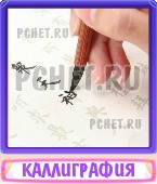 Прятки слов 10-11-12-13 Букв