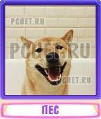 Прятки слов 2-3 Буквы