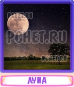 Прятки слов 4 Буквы