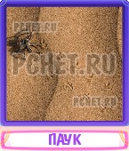 Прятки слов 4 Буквы