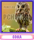 Прятки слов 4 Буквы