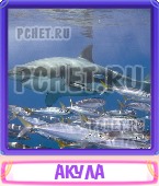 Прятки слов 5 Букв