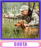 Прятки слов 5 Букв