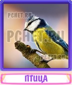 Прятки слов 5 Букв