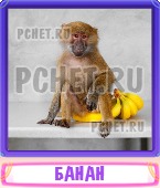 Прятки слов 5 Букв